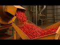 अशा प्रकारे बनवली जाते मोठमोठ्या मशीनमध्ये मिरची पावडर!