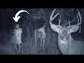 Trail Camera Captures What No One Was Supposed To See
