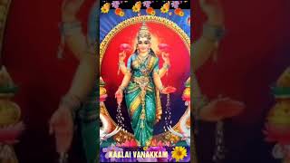Kaalai Vanakkam Mp4 Hd Video Wapwon