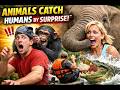 When Animals Catch Humans by Surprise in the Funniest Ways | Paw safari
