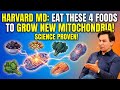 Harvard Doctor: These 4 Foods GROW New Mitochondria (Science Proven) | Dr. David Sinclair