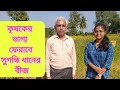 BCKV থেকে কিভাবে বিনামূল্যে পাওয়া যাবে সুগন্ধি ধানের বীজ?