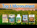 Best of 5 Micronutrient I  গাছের সেরা ৫টি অনুখাদ্য প্রোডাক্ট। শুধুমাত্র গাছে স্প্রে করার জন্য।