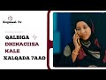 MUSALSALKA QALBIGA DHINACISA KALE S2 EPISODE 7