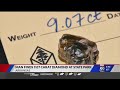Visitor finds 9-carat diamond at Crater of Diamonds State Park in Arkansas