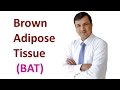 Brown Adipose Tissue (BAT)