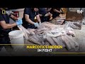 Narcotics Hidden in Fish? | To Catch a Smuggler | हिन्दी | Full Episode | S4-E2 | Nat Geo