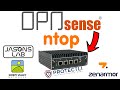 Installing Ntop On OPNSense Yeah Pretty Graphs \u0026 Data !!