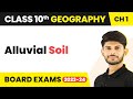 Alluvial Soil - Resources and Development | Class 10 Geography 2023-24