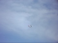 RARE/// Qantas A380 low fly over on Australia day.