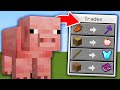 Minecraft, But All Mobs Trade OP Items...