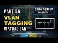 VLAN Tagging in Hindi | VLAN Trunking explained | CCNA 200-301 V1.1 PART 56