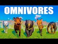 Omnivores Category Speed Races in the mist in Planet Zoo included Red Fox, Arctic Fox, Black Bear