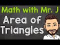 How to Find the Area of a Triangle | Calculate the Area of a Triangle