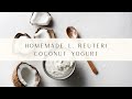 Homemade L. Reuteri Coconut Yogurt Recipe