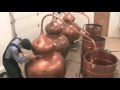 Gin Thuya Production by Distillerie Fils du Roy Inc