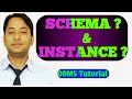 What is schema and instance in dbms with example( in hindi) | Schema vs Instance in hindi | MsirG
