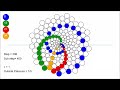 This is how phyllotaxis is born.