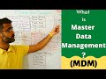 What is master data management(MDM) | mdm architecture \u0026 products (2022)