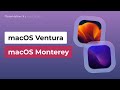 macOS Ventura vs. macOS Monterey: Which Is Better for You?