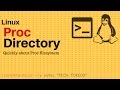 Proc Directory(proc filesystem)