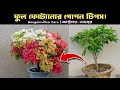 🌸 অক্টোবর-নভেম্বর মাসে বোগেনভেলিয়া গাছের যত্ন কিভাবে করবেন 🌱| Bougainvillea Care Tips in Bengali