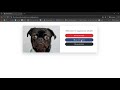 Oauth Authentication Google Facebook Github demo