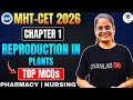 MHTCET 2026 | Chap 1 Reproduction In Plants | Most Important MCQ's \u0026 PYQ's | Gyanlab | Anjali Patel 