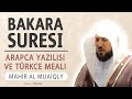 Bakara suresi anlamı dinle Mahir al Muaiqly (Bakara suresi arapça yazılışı okunuşu ve meali)