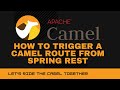 Apache Camel - How to trigger Camel route from Spring REST