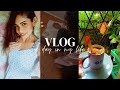Vlog|මගේ  නිවාඩු  දවසක් |සිංහල vlog |day in my life|#cooking #cleaning