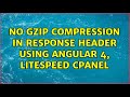 No gzip compression in response header using angular 4, litespeed cpanel (2 Solutions!!)