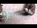 String flowers in easy way