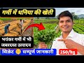 गर्मी में करें धनिया🌿 की खेती | 30 दिन में तगड़ी कमाई 💰😱 | Coriander Farming in Summer
