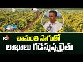 Profitable Growing Chamanthi Cultivation |చామంతి సాగుతో లాభాలు గడిస్తున్న రైతు | Matti Manishi |10TV