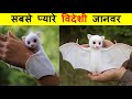 अमेरिका का सबसे प्यारा जानवर । 10 Cute Exotic Adorable You Can Pet