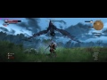 21:9 Shrieker contract The Witcher 3