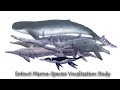 Extinct Marine-Species Vocalization Study