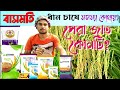 সুগন্ধি ধান বাসমতির BLB ও Blast মুক্ত বীজ নির্বাচন|Bashmoti Dhan er Bij|Pusha-1718/1847/1885/1885