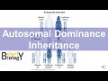 Autosomal Dominance Genetic Inheritance (story based)