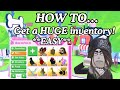 How to get a HUGE Inventory! 👀💸 | Roblox Adopt me | Lokitheratgod