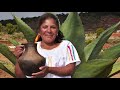 PGS - Participatory Guarantee System: Oaxaca Mixteca Maguey in Mexico (English subs)