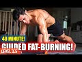 [Level 3-4+] 40 Minute Intensive Fat Burning! (with warm up \u0026 cool down)