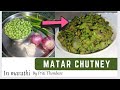 Matar chatni।मटर चटणी।हिरव्या वाटाण्याची चटणी।Green peas Chutney।Matar chutney recipe in marathi .