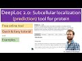 How to predict subcellular location of protein? DeepLoc tool.