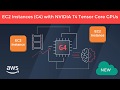 What Is AWS G4 Instance NVIDIA? All NEW
