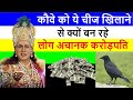 कौवे को ये चीज खिलाने से क्या फायदे होते हे ! kove ko khilana !