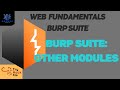 3.3 Burp Suite: Other Modules - Burp Suite {TRYHACKME}
