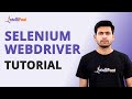 Selenium Webdriver Tutorial | What is Selenium | Selenium Tutorial For Beginners | Intellipaat
