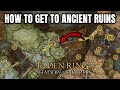 Elden Ring DLC: How to get to Ancient Ruins of Rauh from Shadow Keep (Walkthrough GuidE)